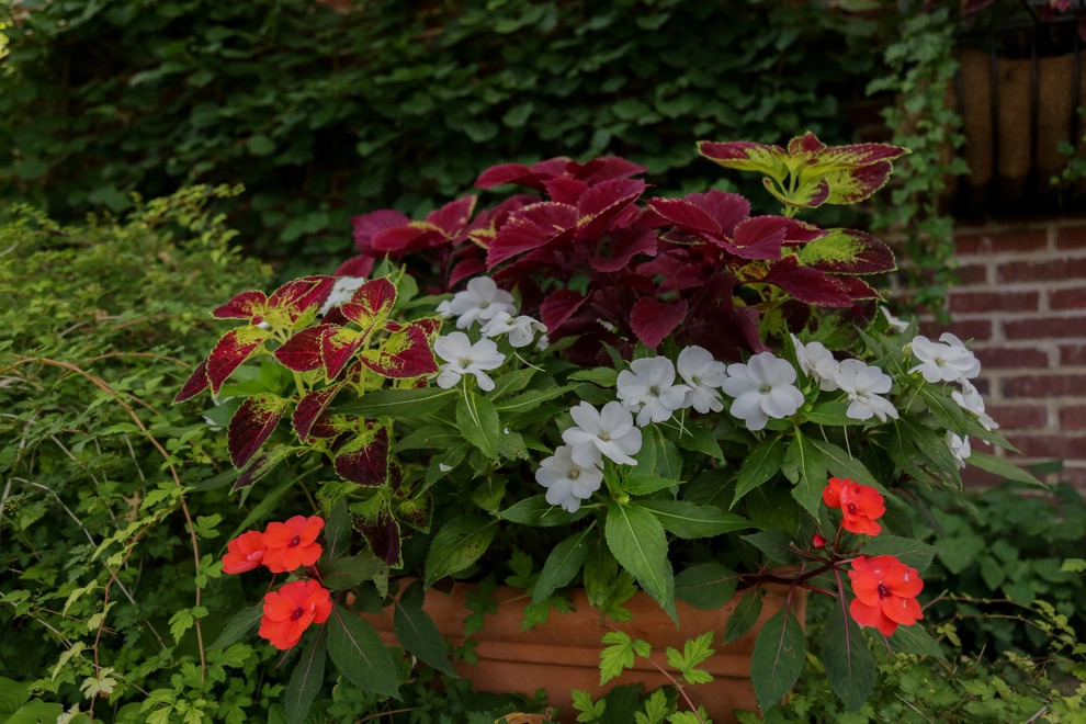 Container Ideas by Kinghorn Gardens - Photo 10