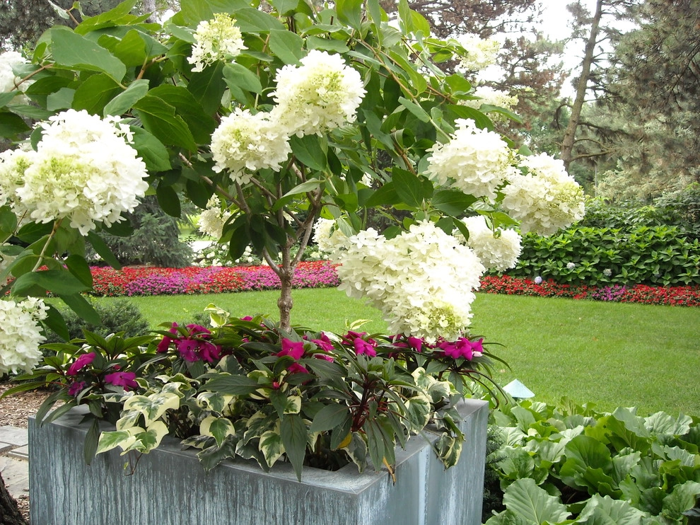 Container Ideas by Kinghorn Gardens - Photo 16