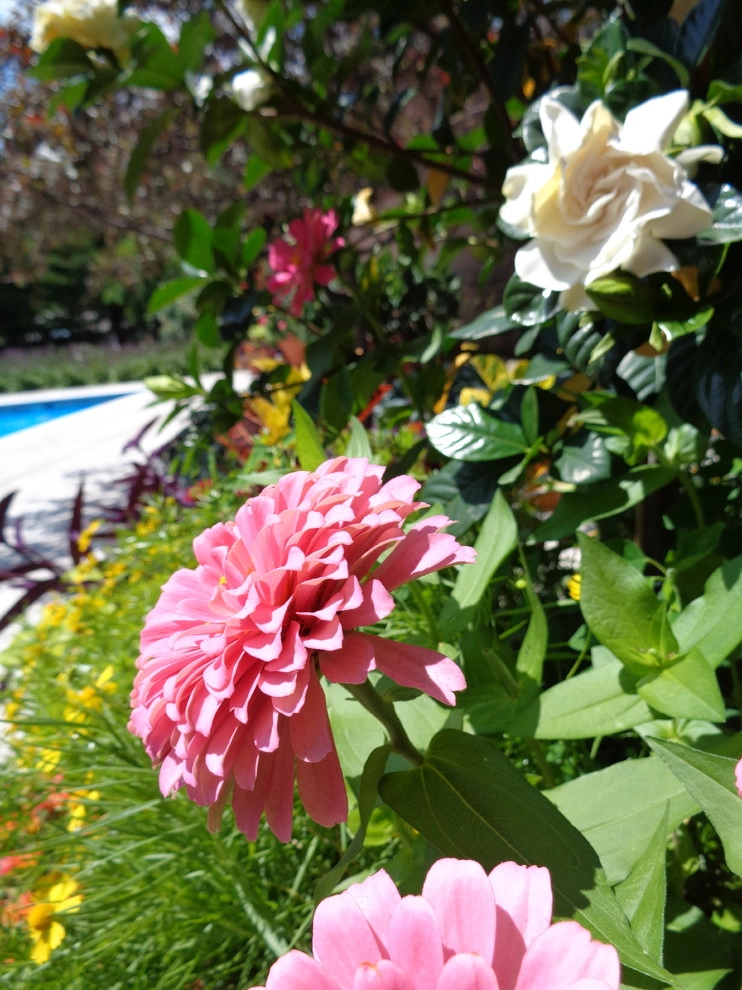 Kinghorn Gardens - Photo 11
