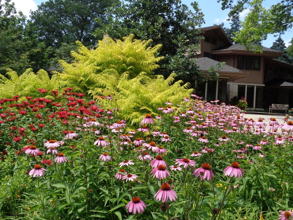 Colorful Eclectic Garden by Kinghorn Gardens - Photo 11