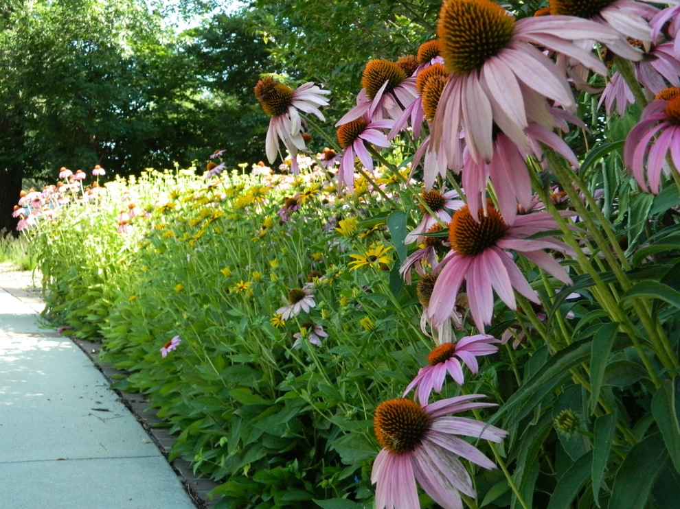 Colorful Eclectic Garden by Kinghorn Gardens - Photo 3