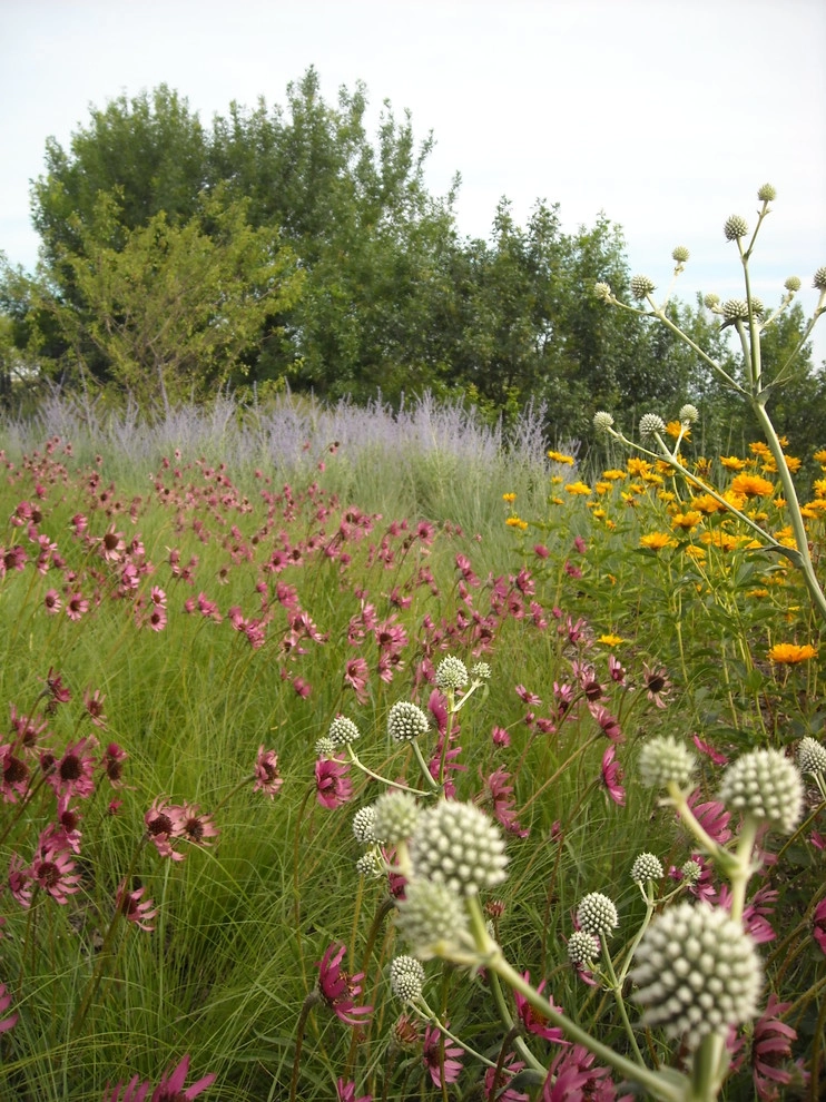 Summer Landscapes by Kinghorn Gardens - Photo 8