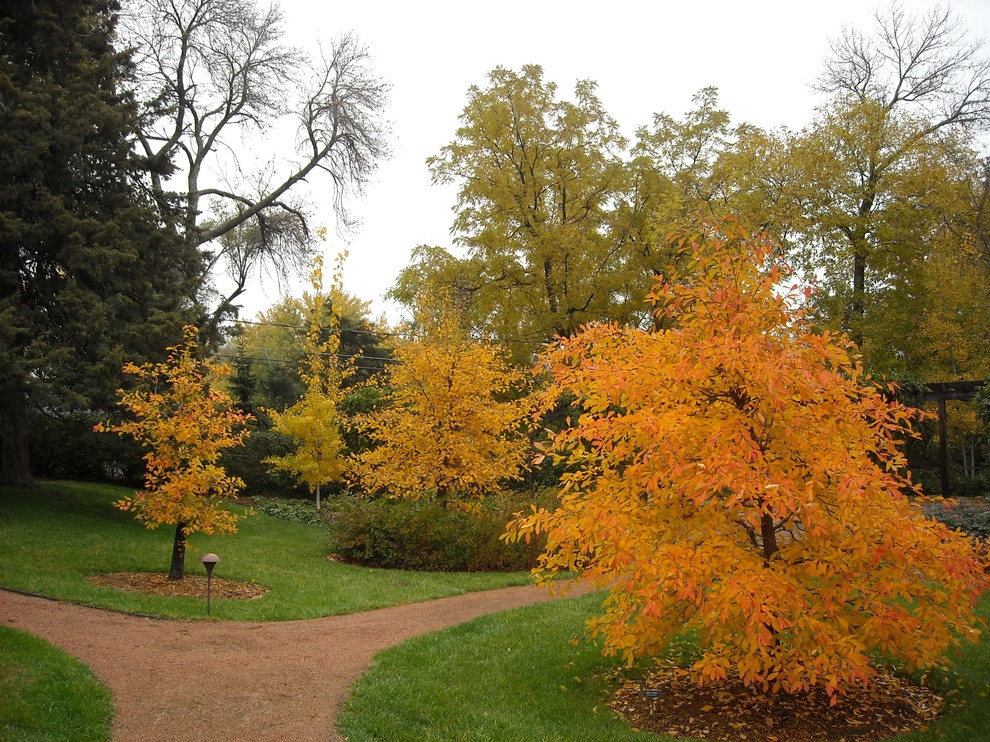 Kinghorn Gardens - Photo 8