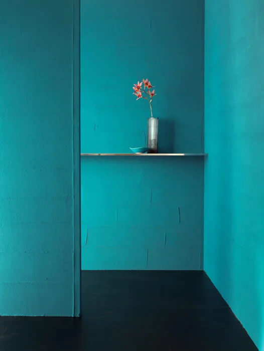 Satori Japanese Wall Coatings by Holmes Tile & Marble Co.,Inc. - Photo 10
