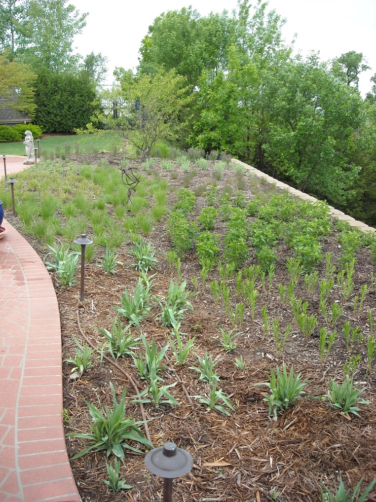 Nebraska Natives Planned Prairie by Kinghorn Gardens - Photo 2