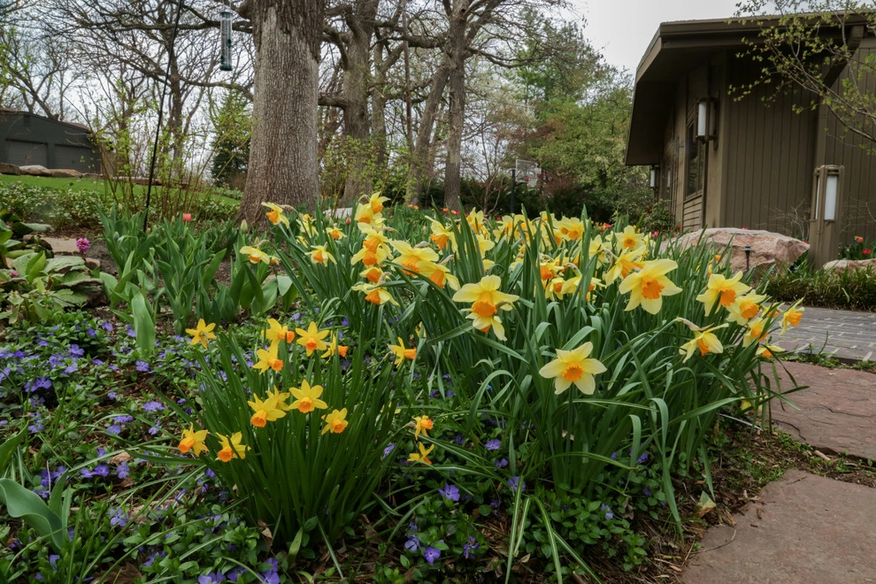 Brushstrokes of Spring Bulbs by Kinghorn Gardens - Photo 22
