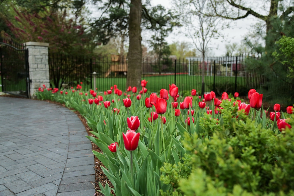 Brushstrokes of Spring Bulbs by Kinghorn Gardens - Photo 25