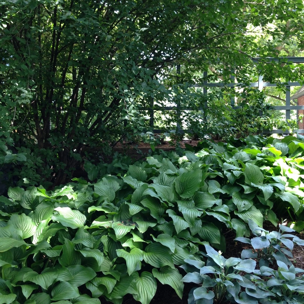 Charming Park-Like Backyard by Kinghorn Gardens - Photo 11