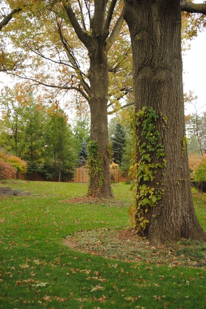Charming Park-Like Backyard by Kinghorn Gardens - Photo 6