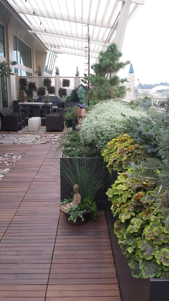 Container Ideas by Kinghorn Gardens - Photo 5