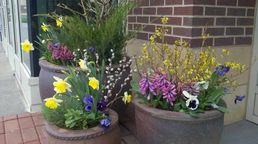 Container Ideas by Kinghorn Gardens - Photo 7