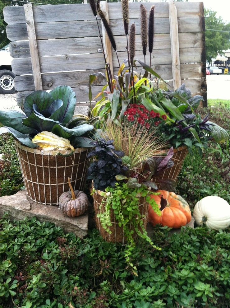 Container Ideas by Kinghorn Gardens - Photo 18
