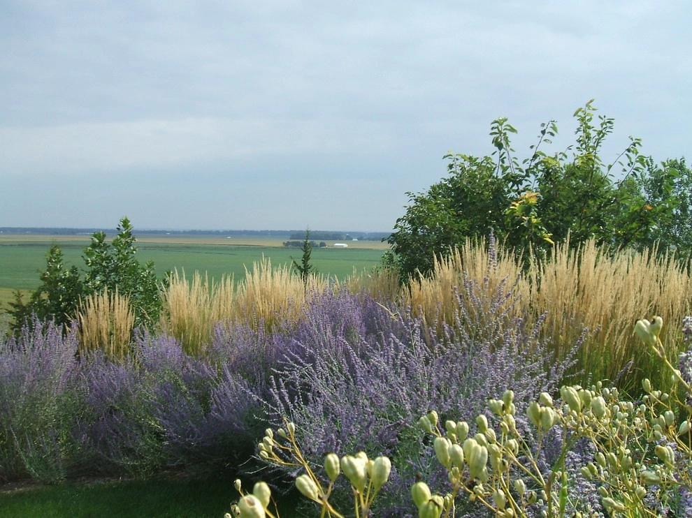 Summer Landscapes by Kinghorn Gardens - Photo 2