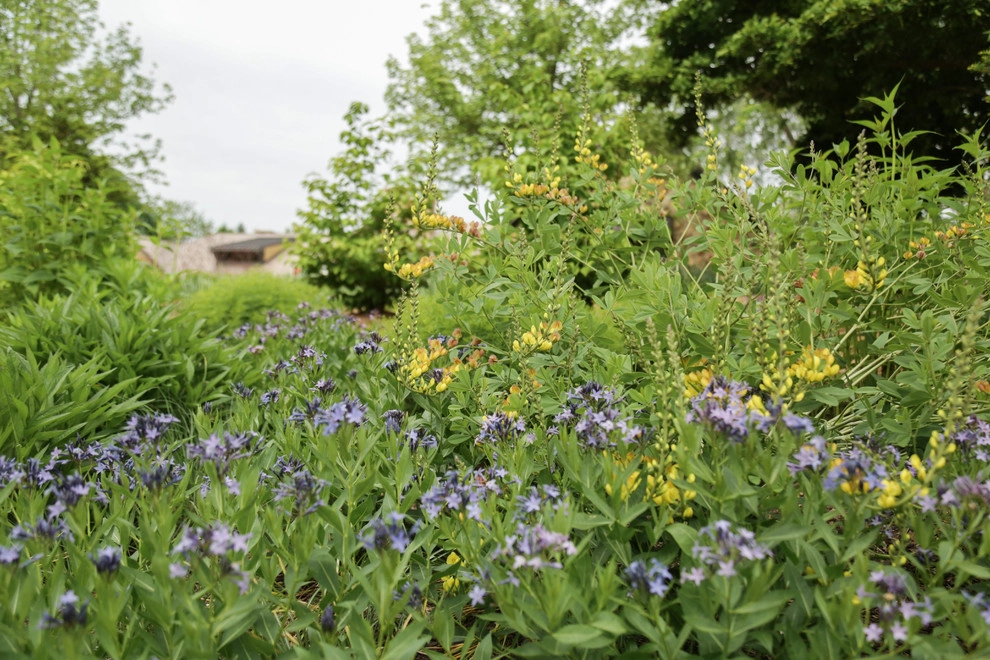 Perennial Garden Getaway by Kinghorn Gardens - Photo 10