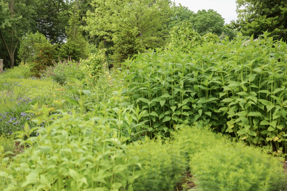 Perennial Garden Getaway by Kinghorn Gardens - Photo 14