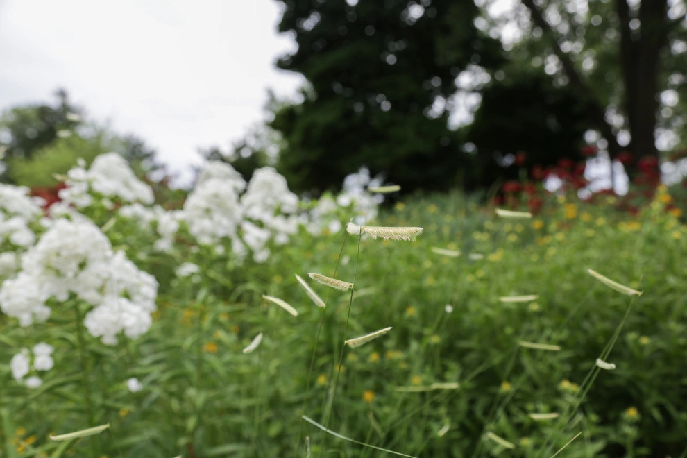 Perennial Garden Getaway by Kinghorn Gardens - Photo 13