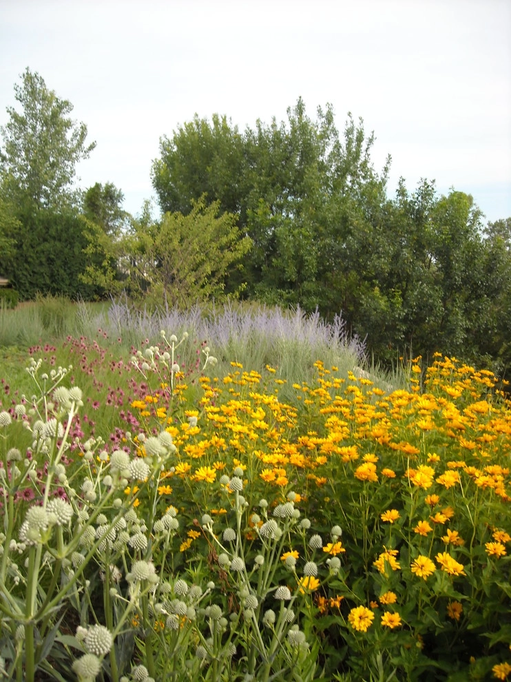 Nebraska Natives Planned Prairie by Kinghorn Gardens - Photo 8