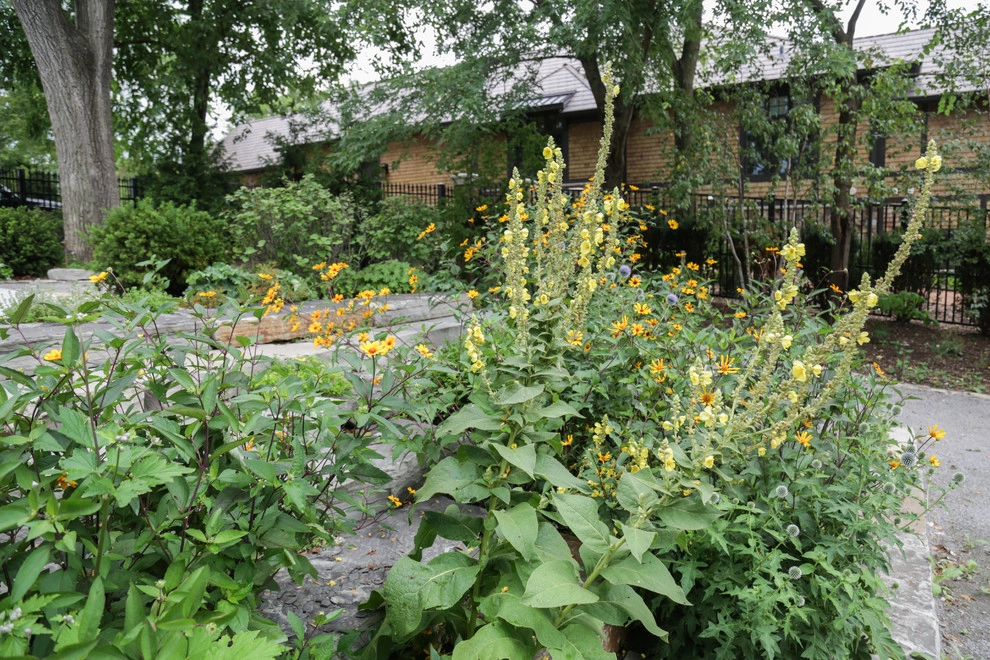 Scotland Inspired Garden by Kinghorn Gardens - Photo 3