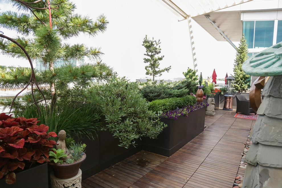 Small Space Rooftop Garden by Kinghorn Gardens - Photo 4