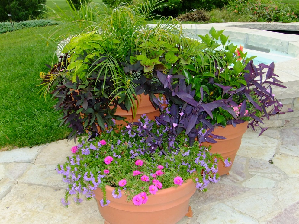 Container Ideas by Kinghorn Gardens - Photo 15