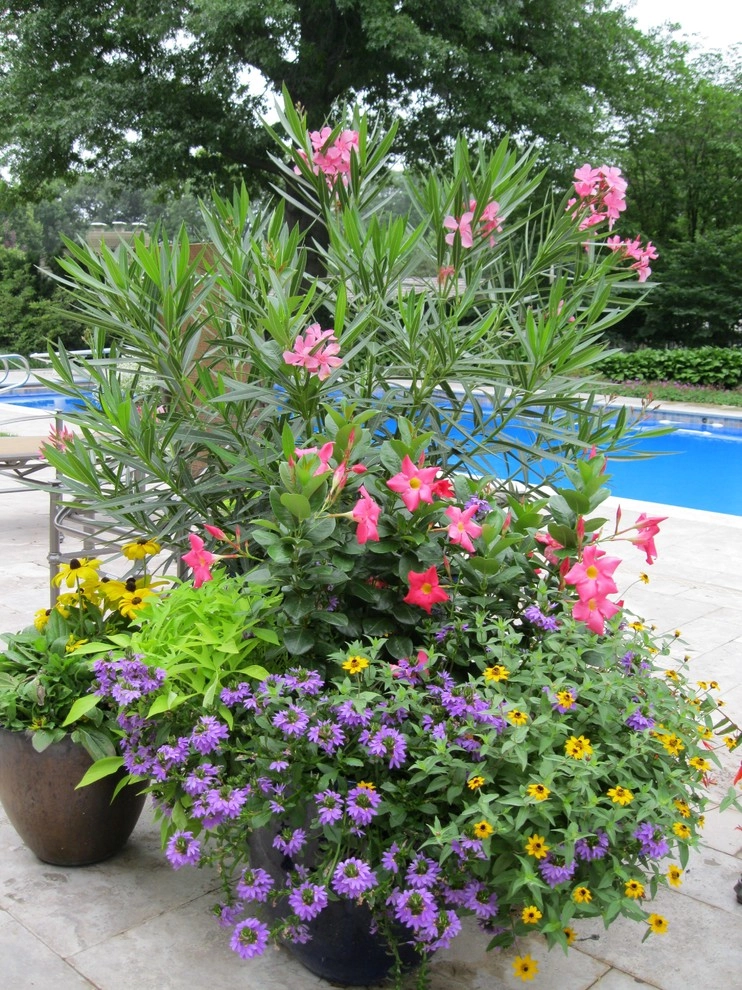 Colorful Eclectic Garden by Kinghorn Gardens - Photo 5