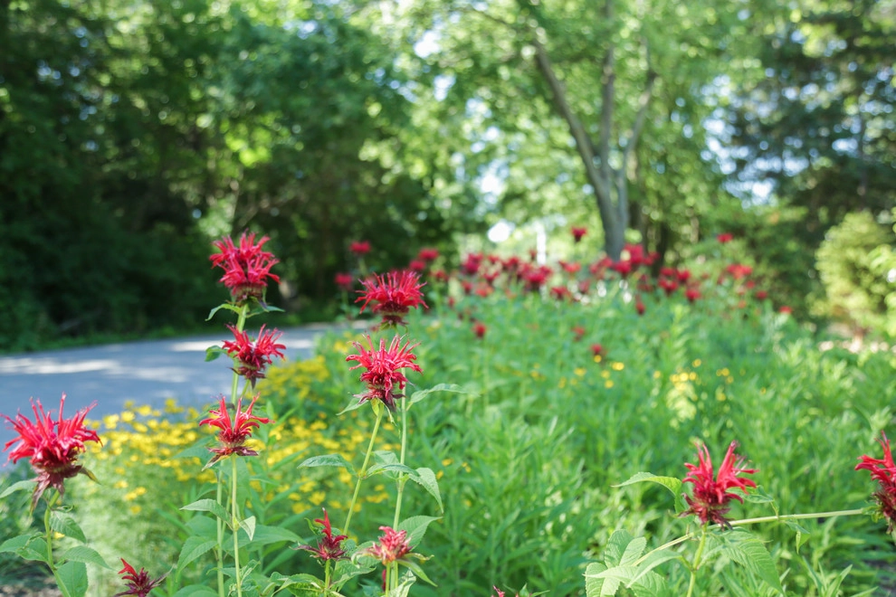 Perennial Garden Getaway by Kinghorn Gardens - Photo 12