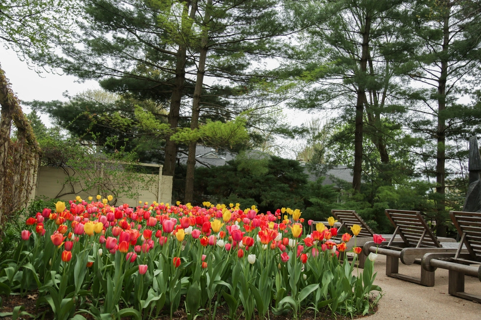 Brushstrokes of Spring Bulbs by Kinghorn Gardens - Photo 11