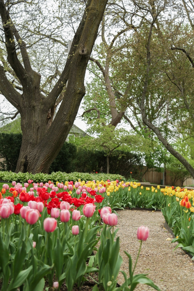 Brushstrokes of Spring Bulbs by Kinghorn Gardens - Photo 15