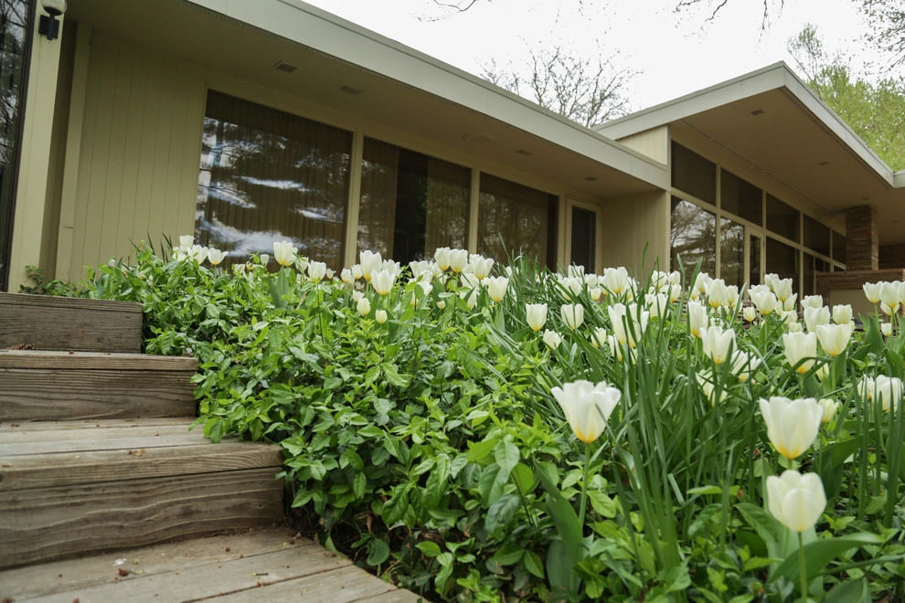 Brushstrokes of Spring Bulbs by Kinghorn Gardens - Photo 27