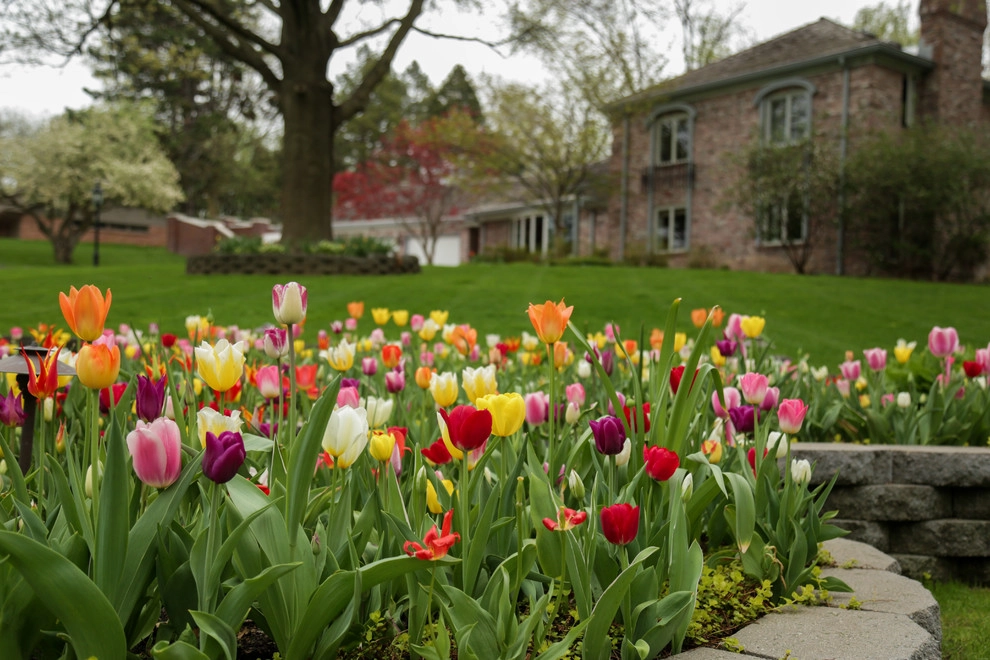 Brushstrokes of Spring Bulbs by Kinghorn Gardens - Photo 13