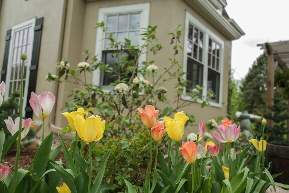 Brushstrokes of Spring Bulbs by Kinghorn Gardens - Photo 18