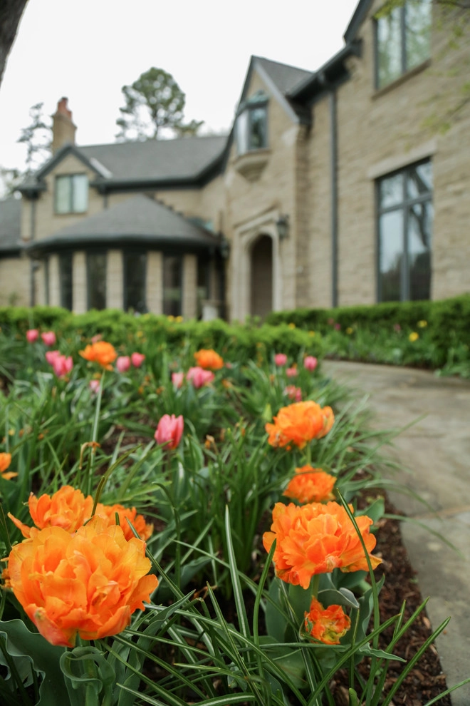 Brushstrokes of Spring Bulbs by Kinghorn Gardens - Photo 2