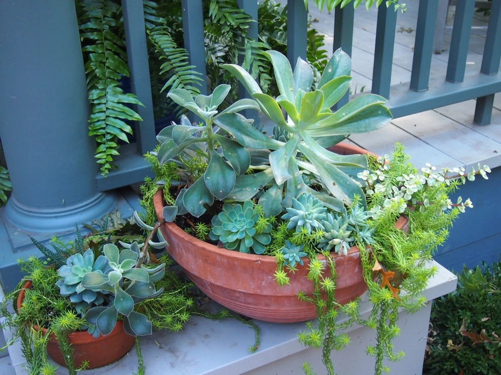 Charming Park-Like Backyard by Kinghorn Gardens - Photo 7