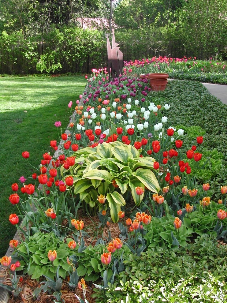 Charming Park-Like Backyard by Kinghorn Gardens - Photo 4