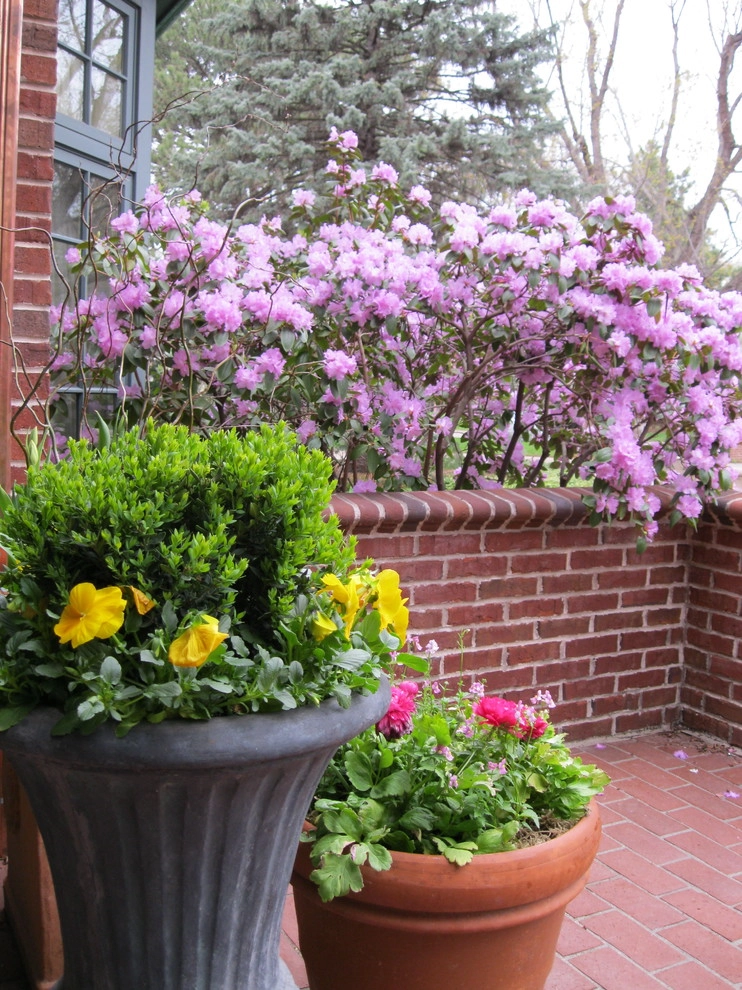Outdoor Living by Kinghorn Gardens - Photo 16