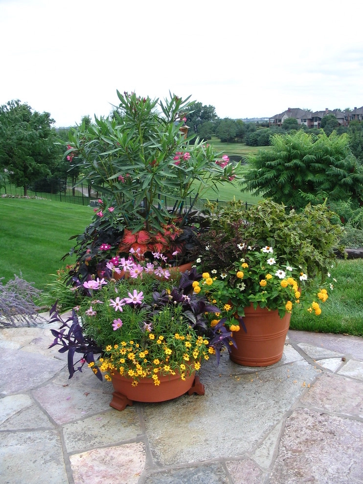 Container Ideas by Kinghorn Gardens - Photo 6