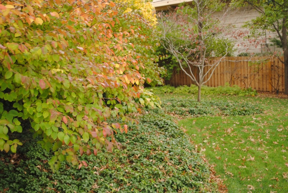 Charming Park-Like Backyard by Kinghorn Gardens - Photo 3