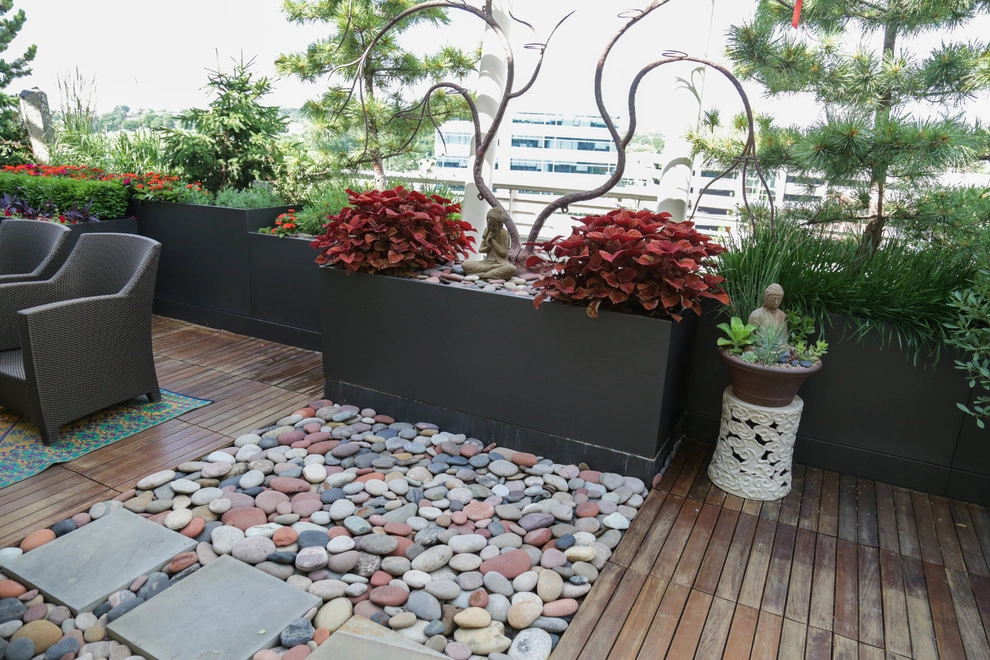 Small Space Rooftop Garden by Kinghorn Gardens - Photo 5