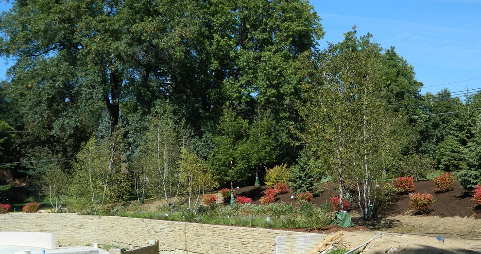 Contemporary Mountain Retreat by Kinghorn Gardens - Photo 15