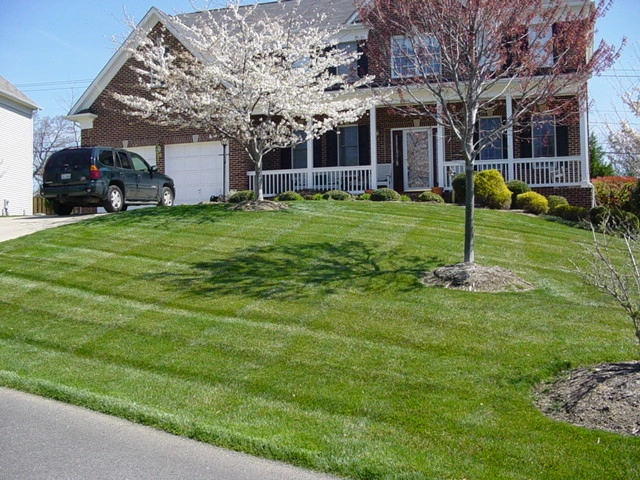 Lawn Envy by Kingstowne Lawn & Landscape - Photo 2