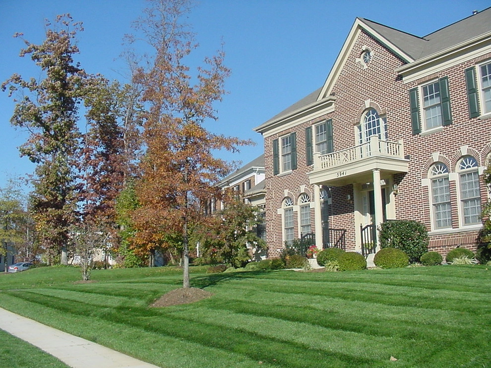 Lawn Envy by Kingstowne Lawn & Landscape - Photo 5