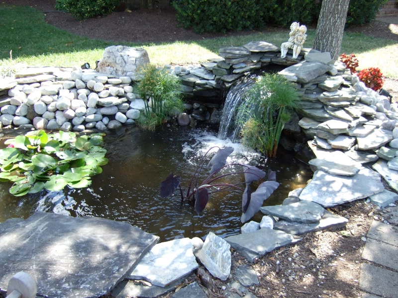 Church Point, Virginia Beach VA by Koizilla Monster Ponds Inc - Photo 2