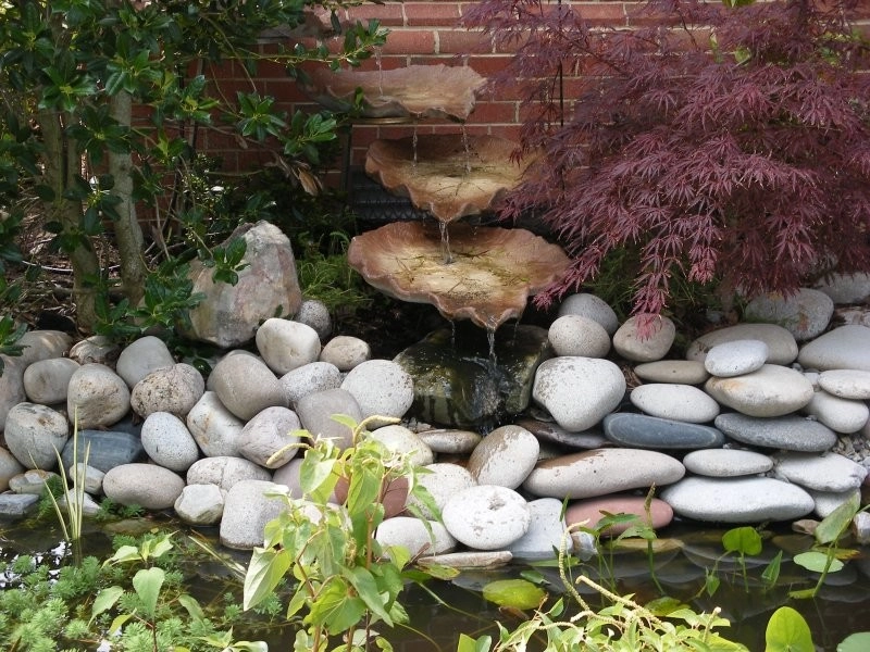 Koizilla Monster Ponds Inc - Photo 10
