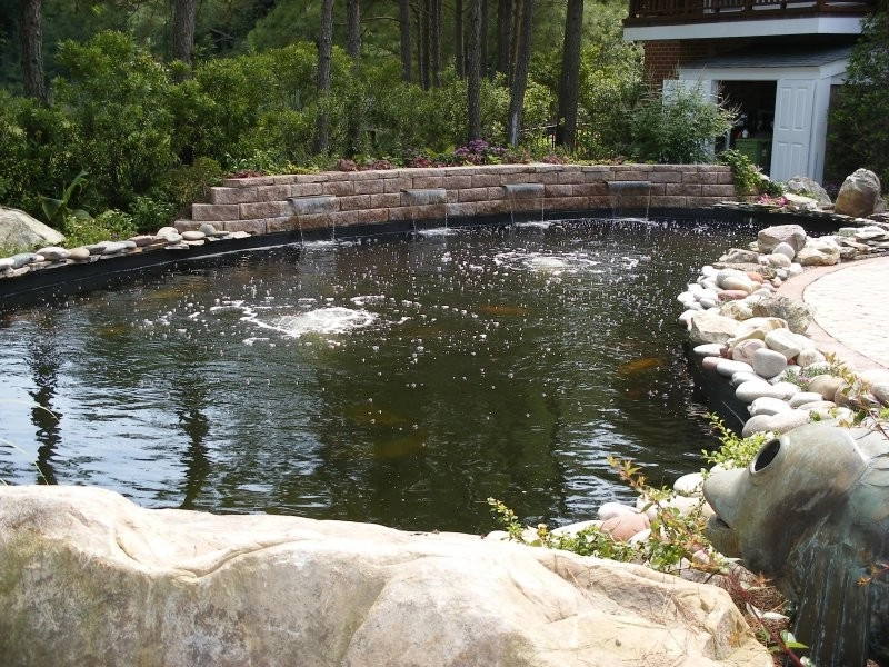 Koizilla Monster Ponds Inc - Photo 14