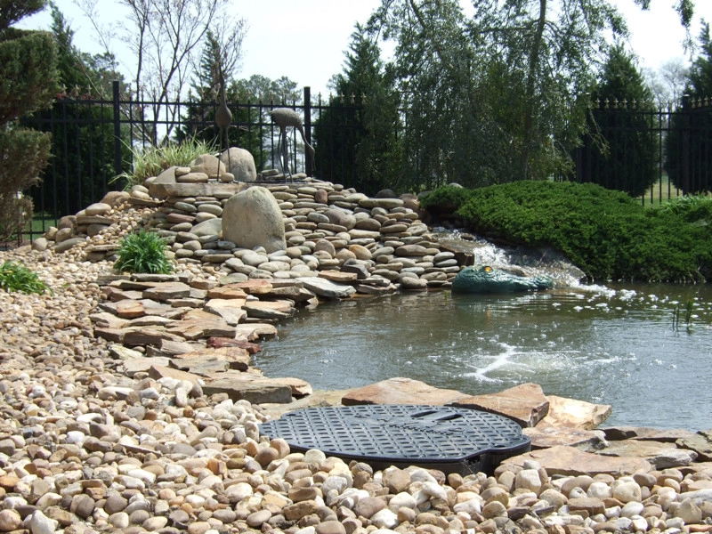 Koizilla Monster Ponds Inc - Photo 12