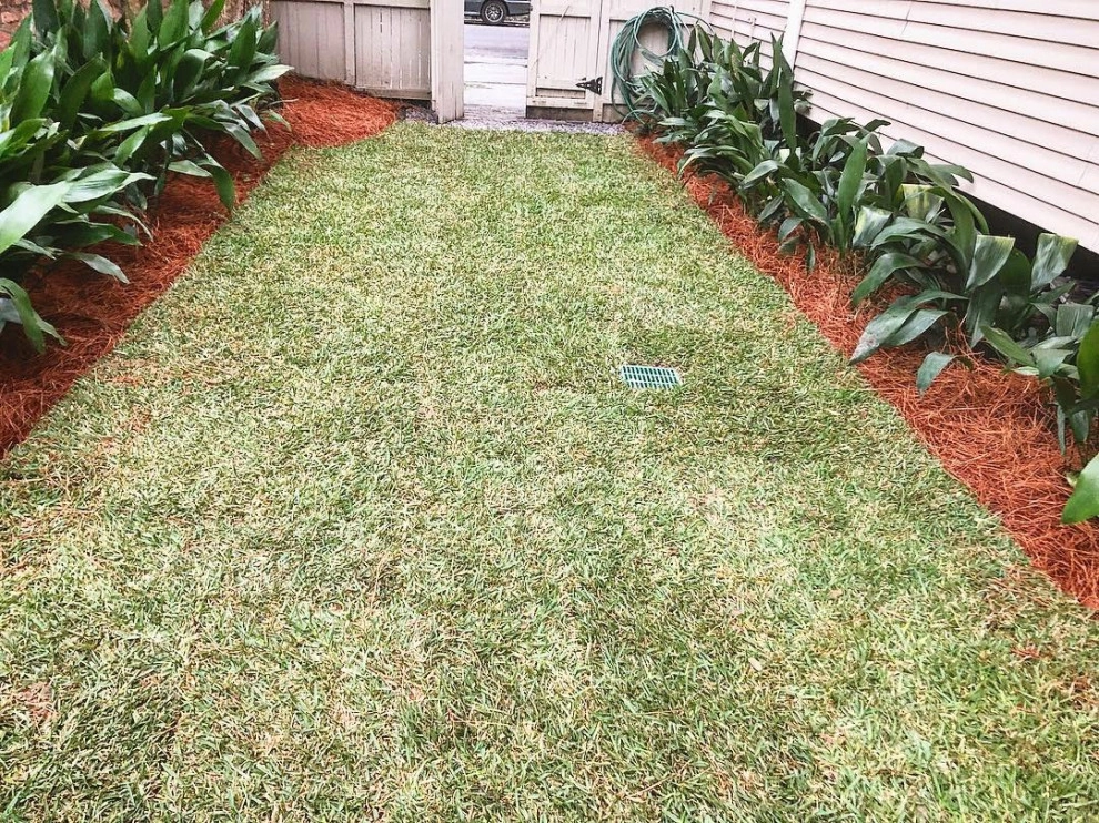 Lakeview's Grass Doctors - Photo 10