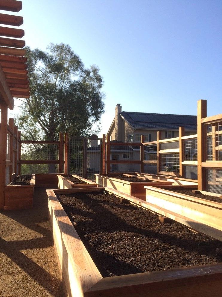 Vegetable Structure Rancho Santa Fe by Carson Douglas Landscape Architecture - Photo 21