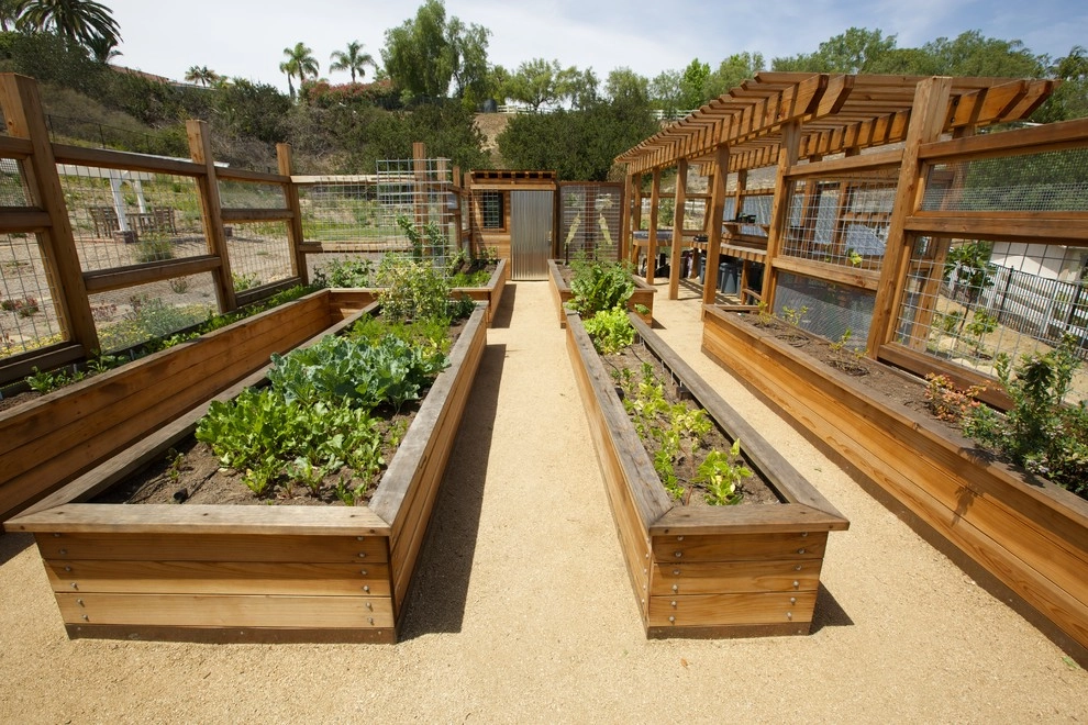 Vegetable Structure Rancho Santa Fe by Carson Douglas Landscape Architecture - Photo 9
