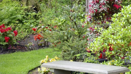 Landis Tree Service & RM Landscaping - Photo 6