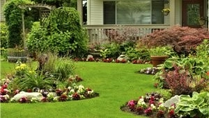 Landis Tree Service & RM Landscaping - Photo 7